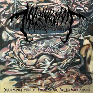 Mvltifission - Decomposition In The Painful Metamorphosis (2021)