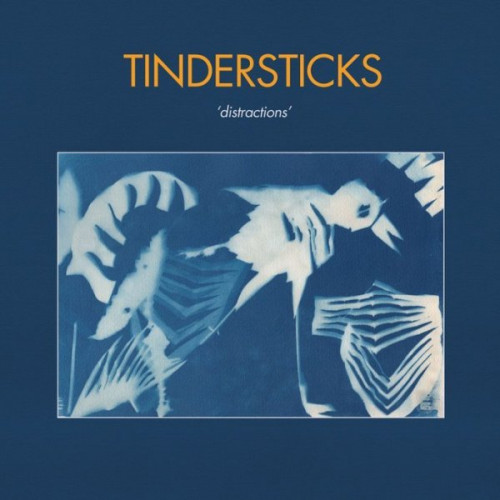 Tindersticks - Distractions (2021)