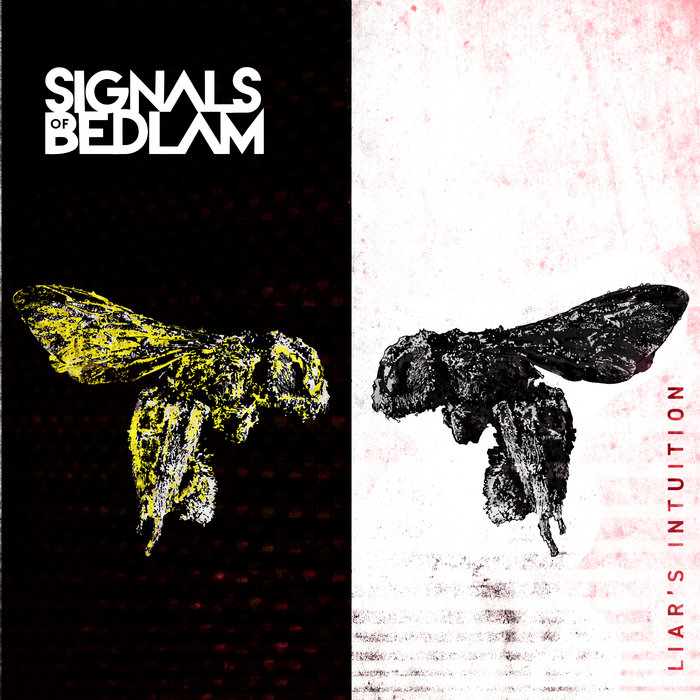 Signals of Bedlam - Liar's Intuition (2021)