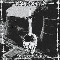 Disastro Chimico - Perfect Day (2021)