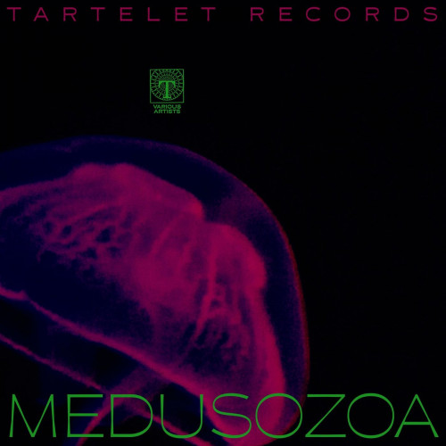 Medusozoa (2021)