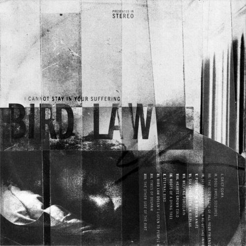 Bird Law - I Cannot Stay In Your Suffering (2021)