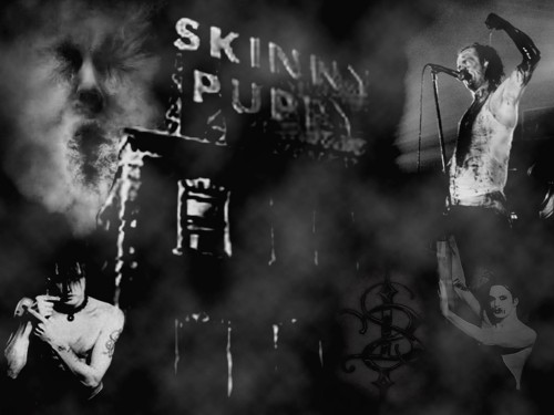 Skinny Puppy - Дискография (1984-2014)