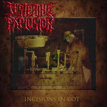 Festering Explosion - Incisions in Rot (2021)