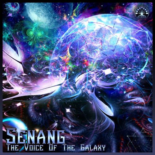 Senang - The Voice Of The Galaxy (2021)