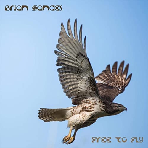 Brian Sances - Free To Fly (2021)