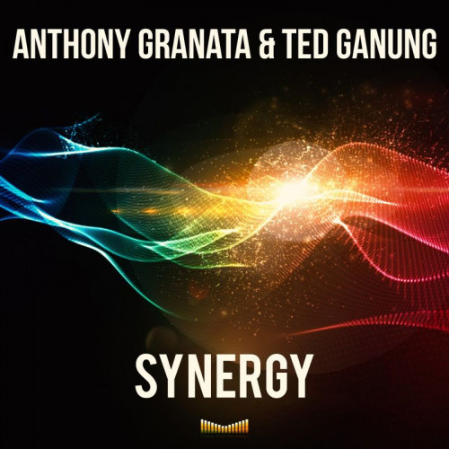 Anthony Granata & Ted Ganung - Synergy (2021)
