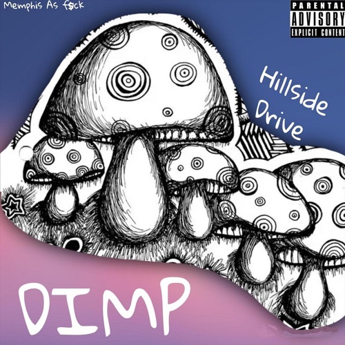Dimp Welzbacher - Hill Side Drive (2021)