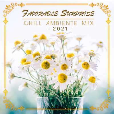 Favorable Surprise: Chill Ambiente Mix (2021)