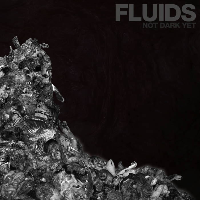 Fluids - Not Dark Yet (2021)
