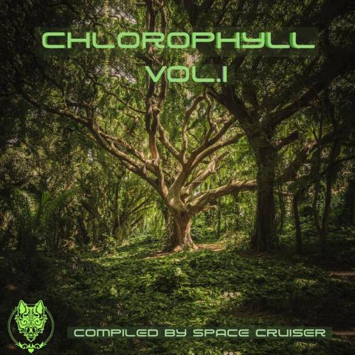 Chlorophyll Vol . 1 (2021)