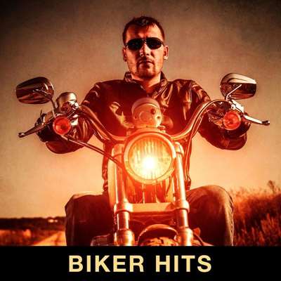 VA - Biker Hits (2021) MP3