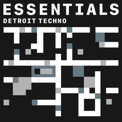 VA - Detroit Techno Essentials (2021) MP3