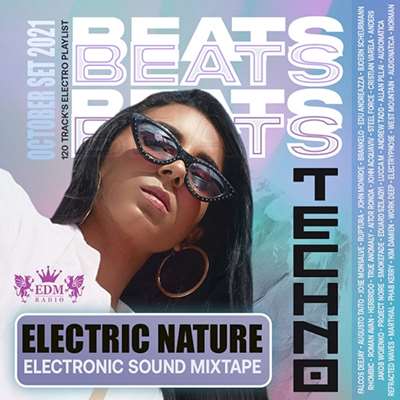VA - Techno Beats: Electronic Mixtape (2021) MP3. Скачать торрент
