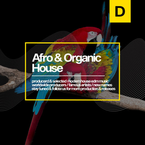 VA - Afro & Organic House 2023 (2023) MP3. Скачать торрент
