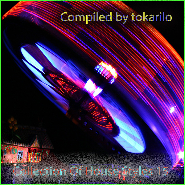 VA - Collection Of House Styles 15 [Compiled by tokarilo] (2024) MP3 скачать торрент