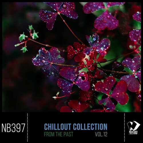 VA - Chillout Collection From The Past Vol 12 (2025) MP3